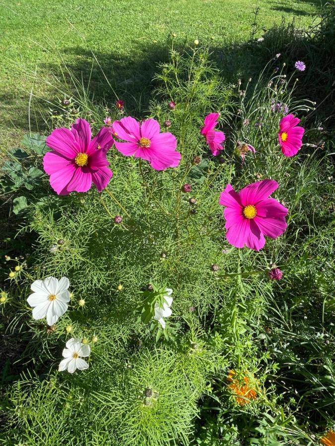 Fuveau Fuvolea, Maison De Vacances A 15 Min Du Centre D'Aix-En-Provence, Piscine Chauffee En Saison - Jardin - Parking Prive Gratuit מראה חיצוני תמונה