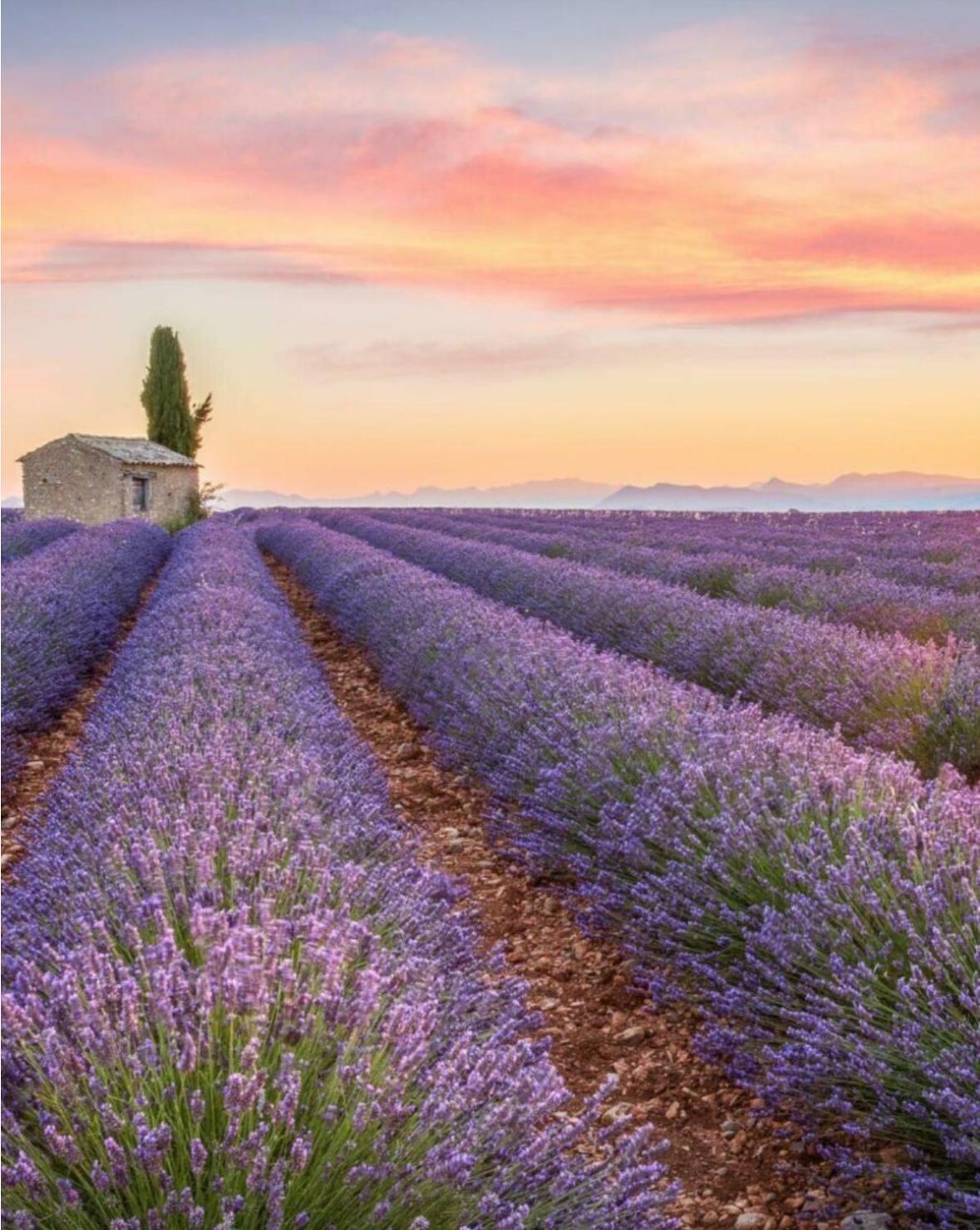 Fuveau Fuvolea, Maison De Vacances A 15 Min Du Centre D'Aix-En-Provence, Piscine Chauffee En Saison - Jardin - Parking Prive Gratuit מראה חיצוני תמונה